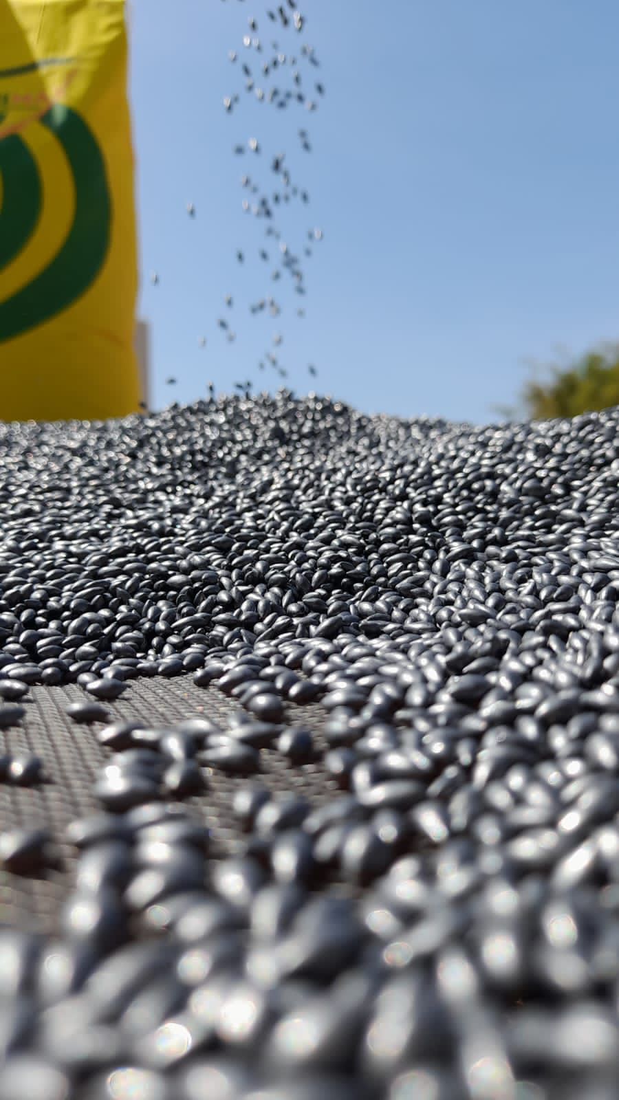 WhatsApp Image 2023-11-10 at 10.09.57.jpeg