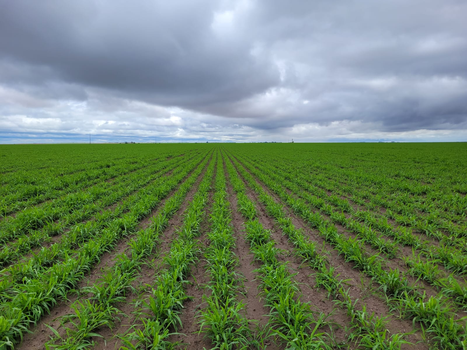 WhatsApp Image 2023-12-06 at 14.13.00.jpeg