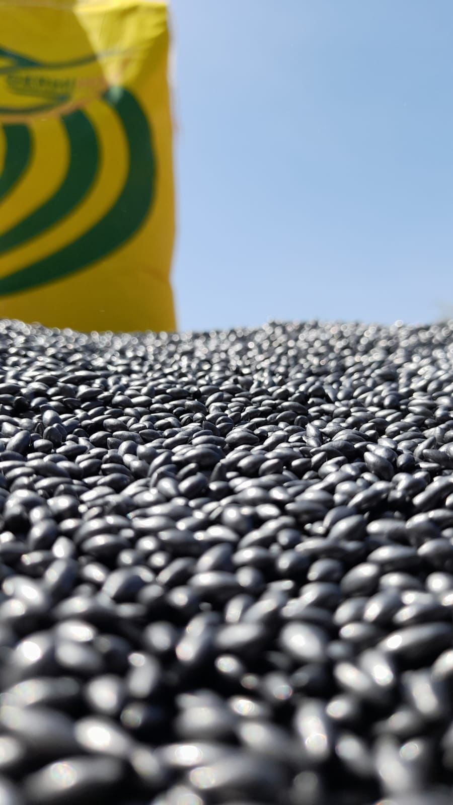 WhatsApp Image 2023-11-10 at 10.09.57 (1).jpeg