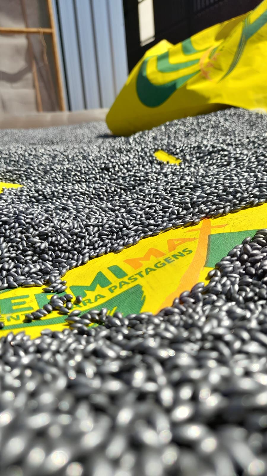 WhatsApp Image 2023-11-10 at 10.09.58.jpeg