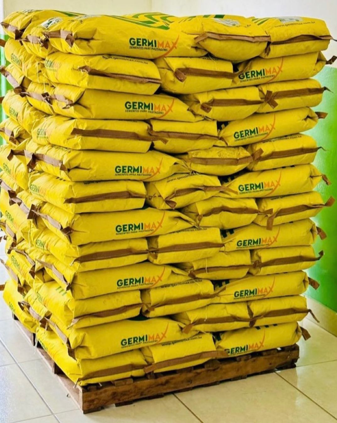 WhatsApp Image 2023-11-10 at 09.59.15.jpeg