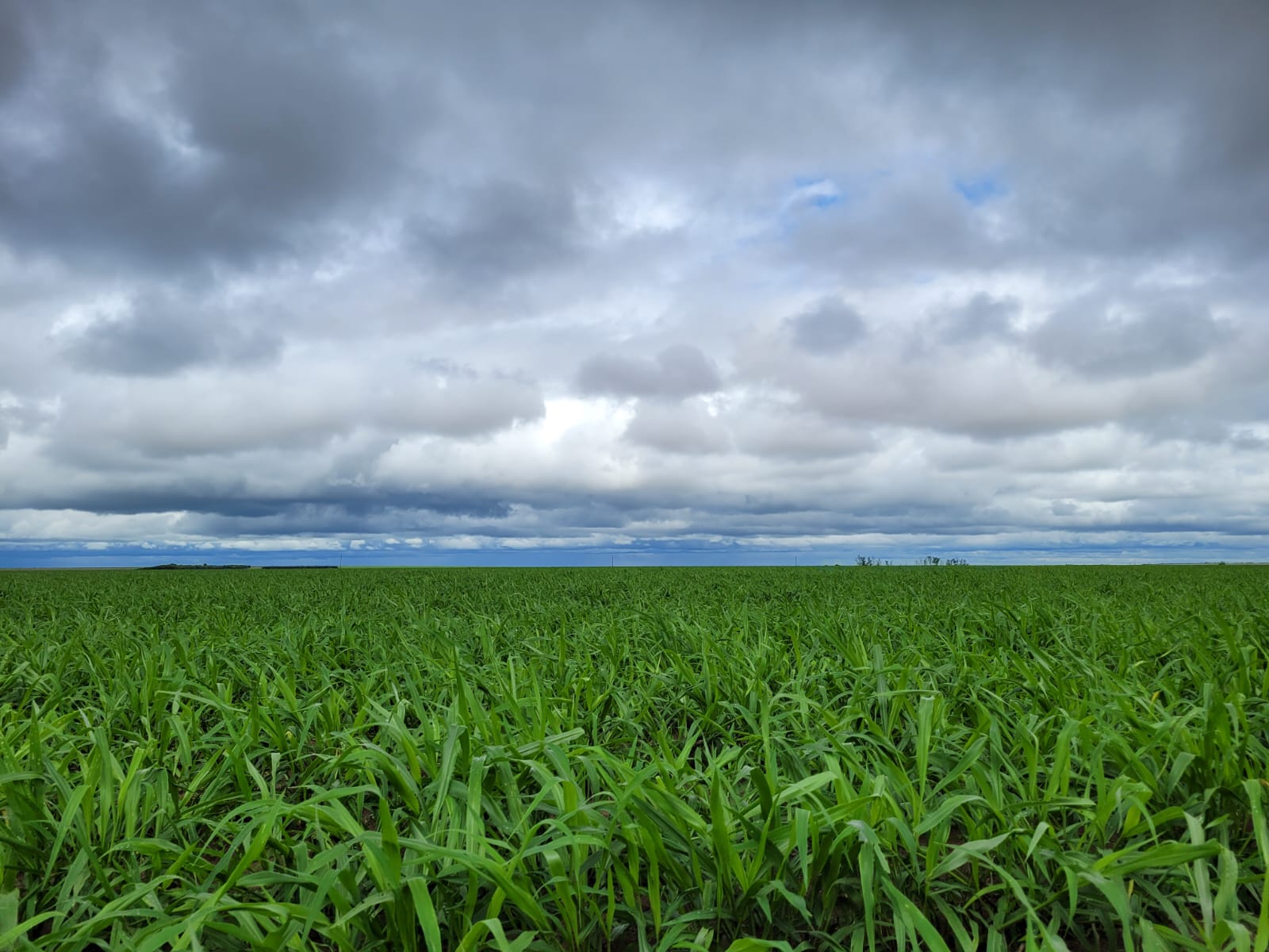 WhatsApp Image 2023-12-06 at 14.13.02.jpeg